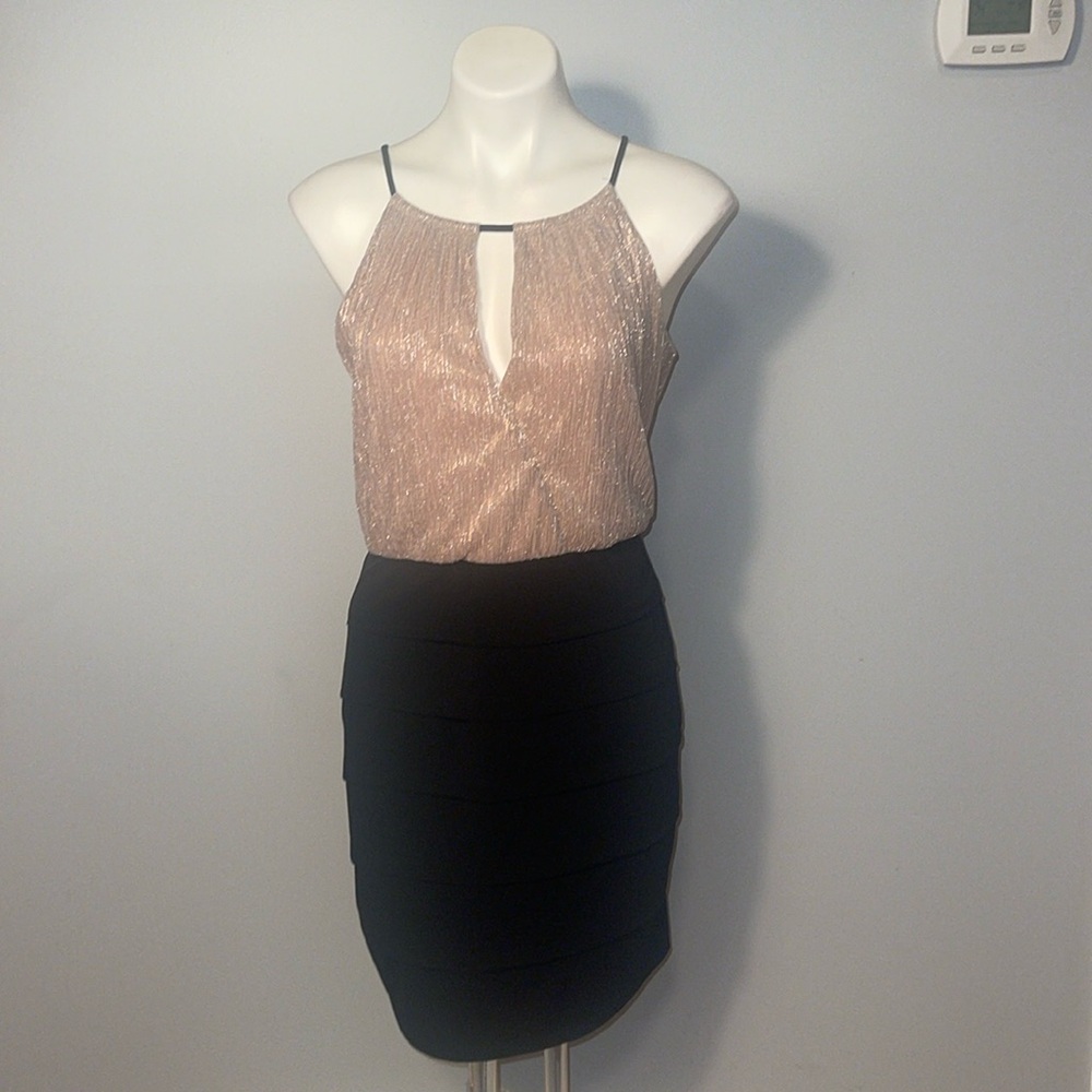 Enfocus Studio Dress. Ladies Size 12. Taupe And Black.